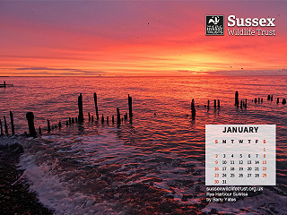 January 2022: Rye Harbour Sunrise by Barry Yates