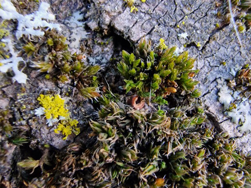 What's growing between the cracks in your town?