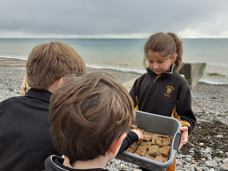 Windlesham School ditch plastic in lunches Sussex Wildlife Trust