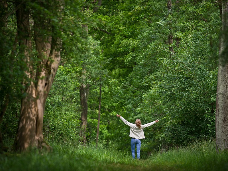 National nature challenge breaks record