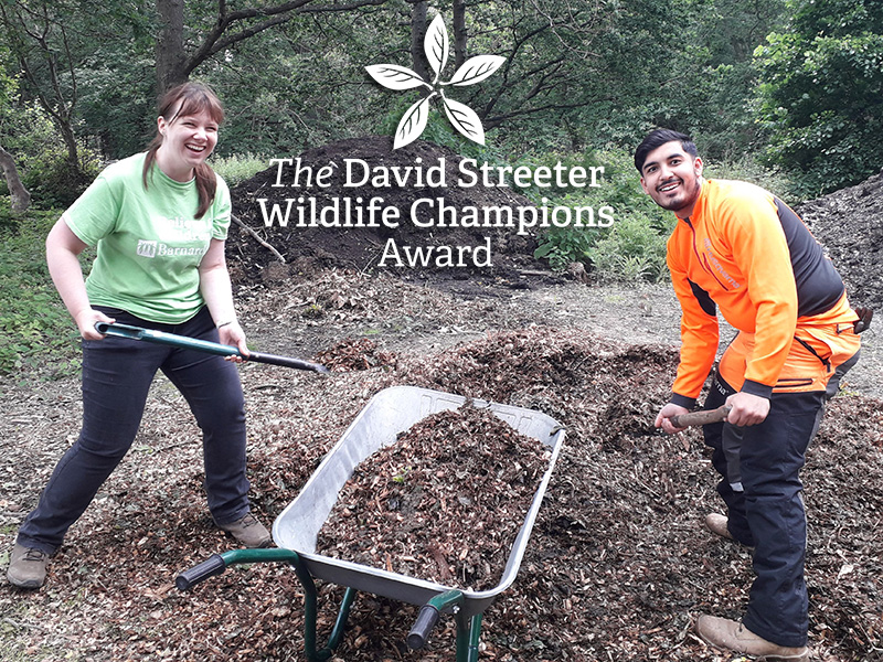Calling all young wildlife champions | Sussex Wildlife Trust