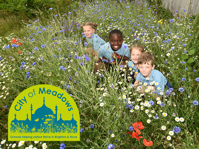 City of Meadows