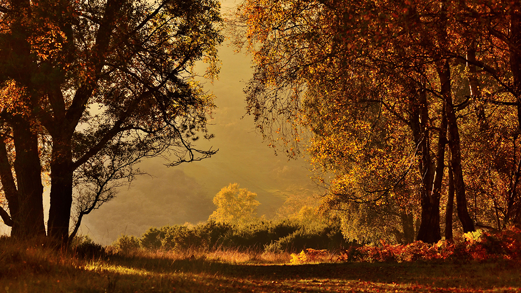 Standing up for nature in November