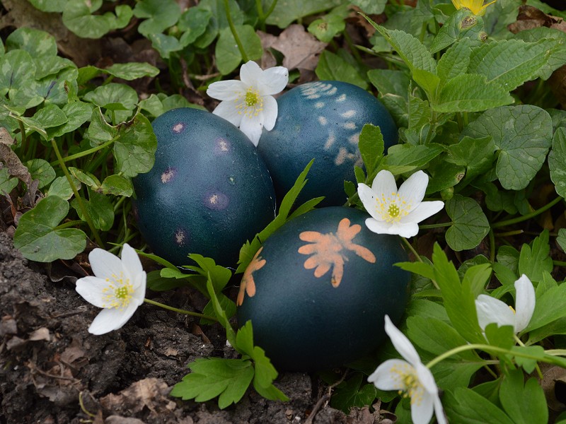 Eggcellent fun for Easter Weekend