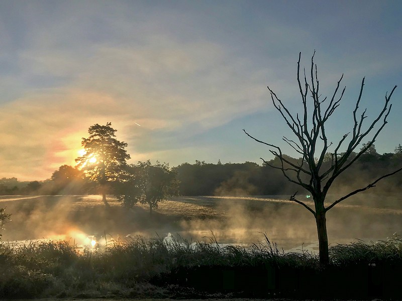 What does Nature's Recovery mean for our decision makers?