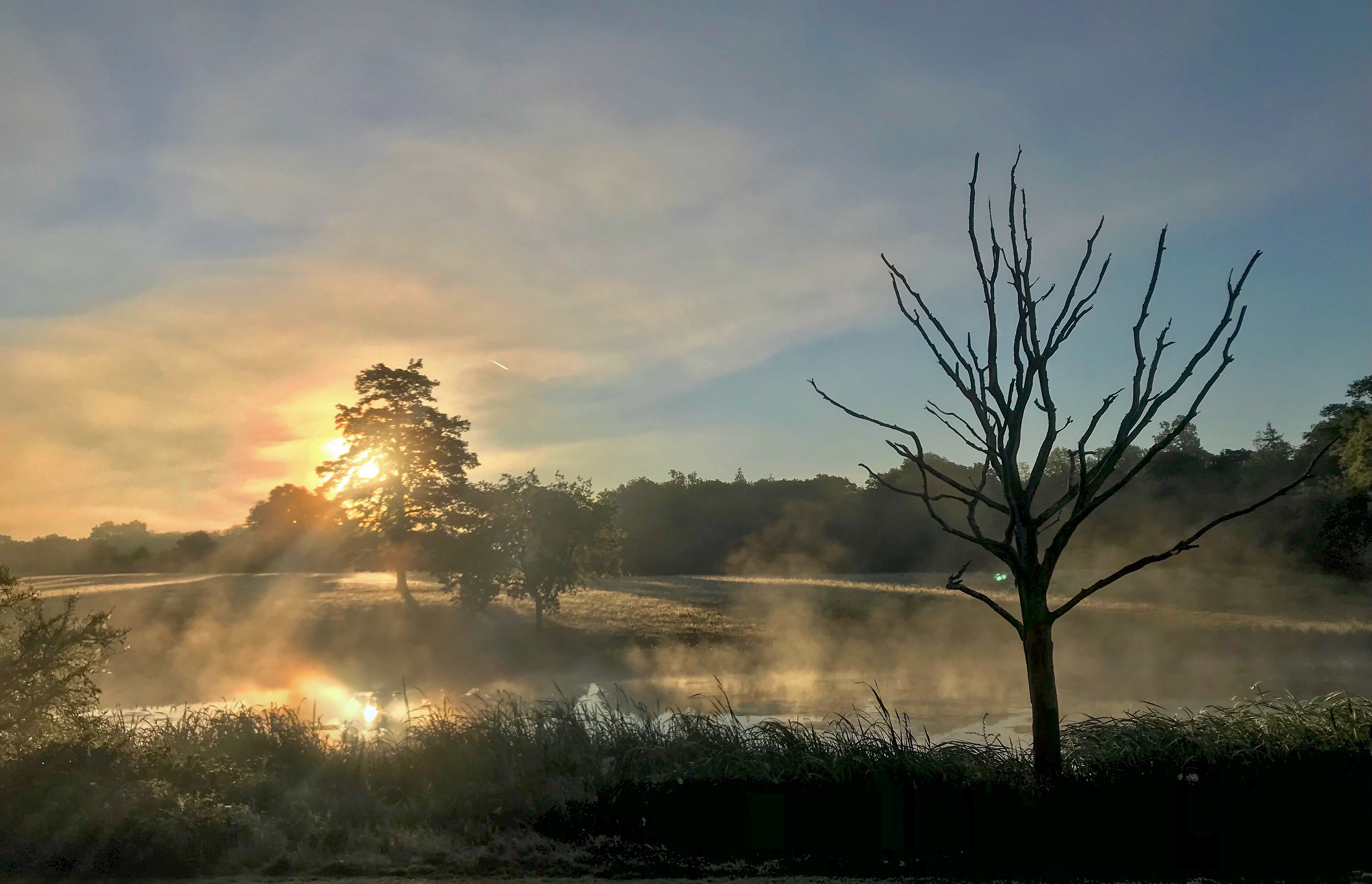 What does Nature's Recovery mean for our decision makers?