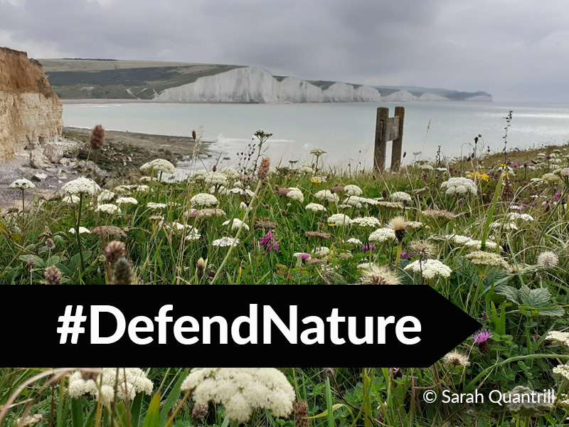 Defend Nature update - a setback and a small win