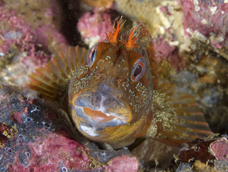 World Ocean Day 2023