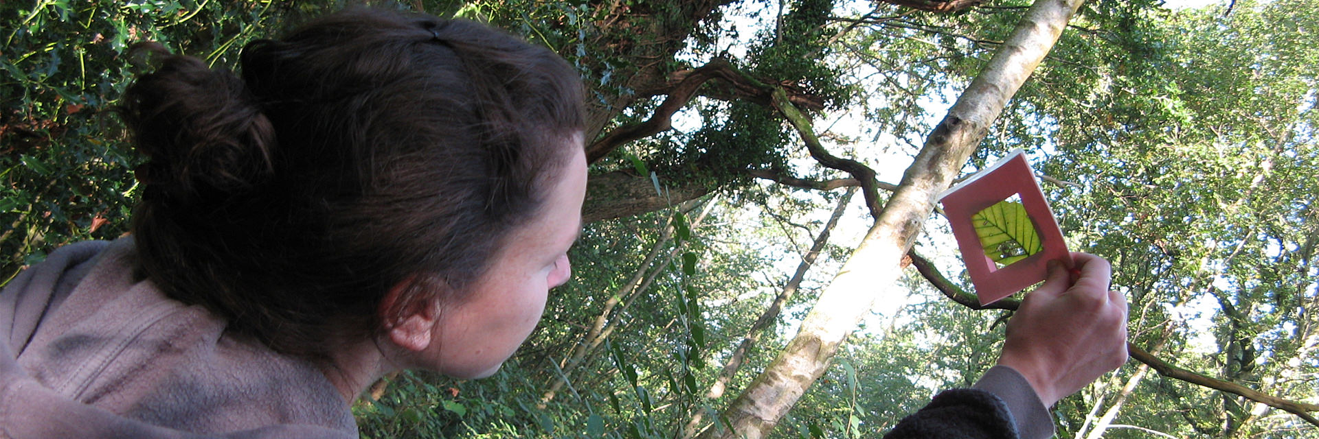 whole-school-inset-sussex-wildlife-trust
