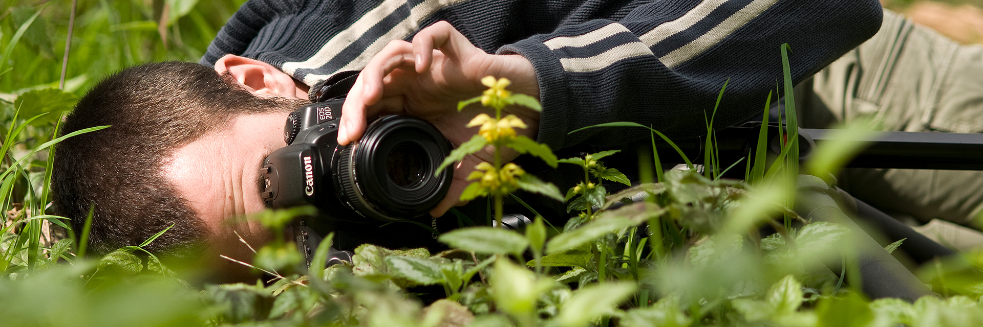 Wildlife Photography Tips | Sussex