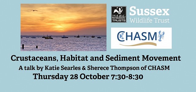 CHASM: Crustaceans, Habitat and Sediment Movement