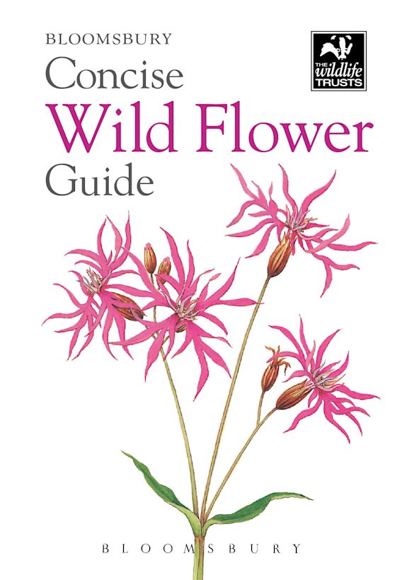 Concise Wildflower Guide