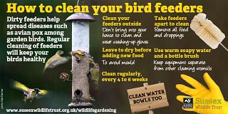 bird feeders