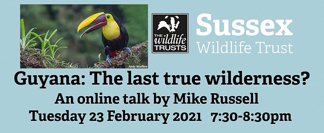 Guyana: The last true wilderness?