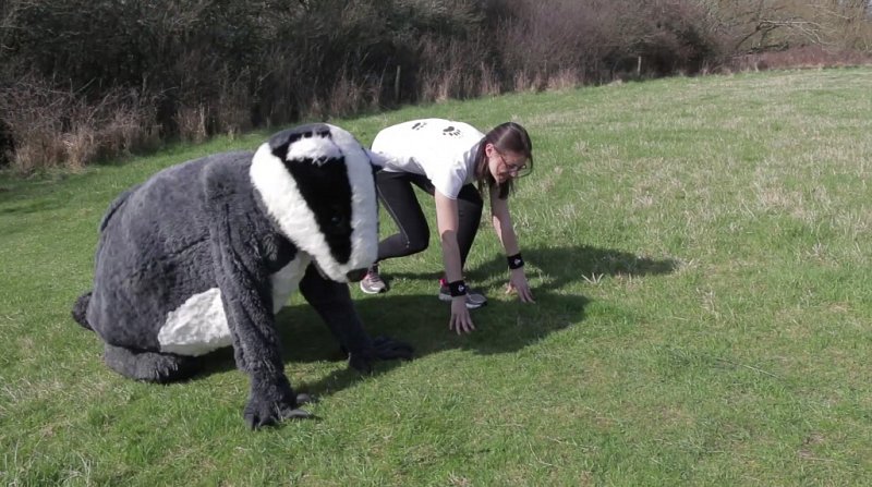 Training for the Brighton Marathon