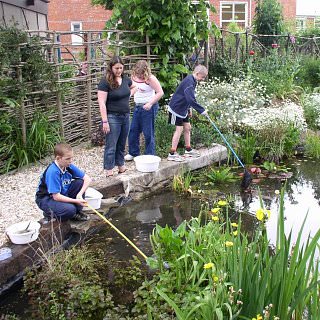 school pond