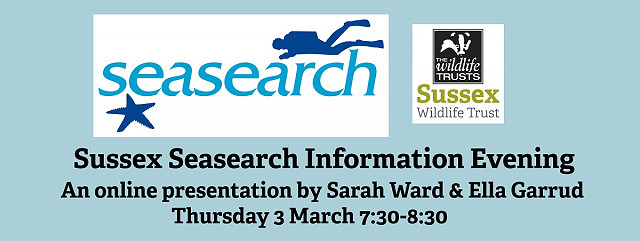 Sussex Seasearch Information Evening (Online)