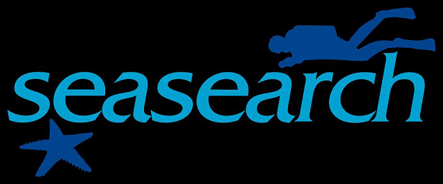 Underwater Photography for Seasearch - Selsey (14/05/2022)