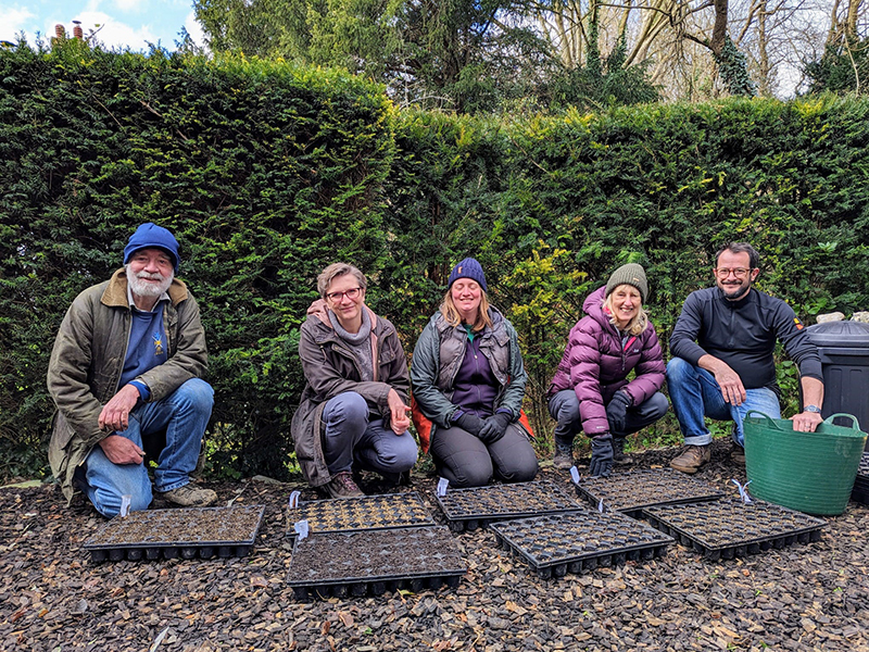 Wildflower Lewes and the High Street pollinator project Sussex Wildlife Trust